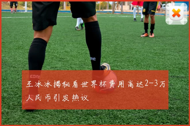 王冰冰揭秘看世界杯费用高达2-3万人民币引发热议